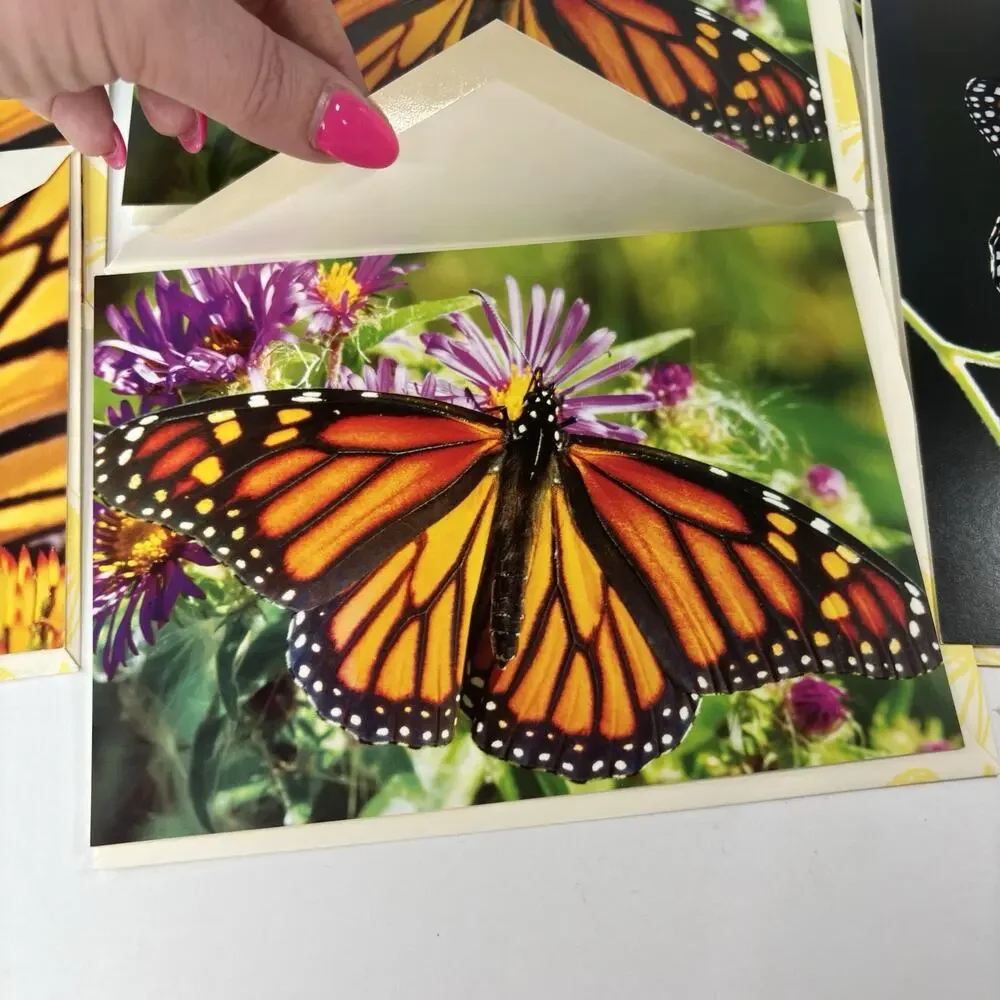 Lot 8 Monarch Butterfly Greeting Cards Blank w/ Envelopes Vivid Photos Garden